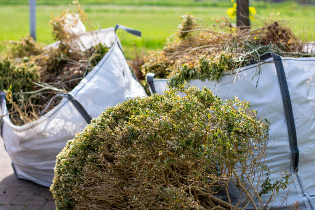 Best Demolition Debris Removal  in Springfield, NE
